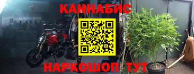 дживик Кандалакша
