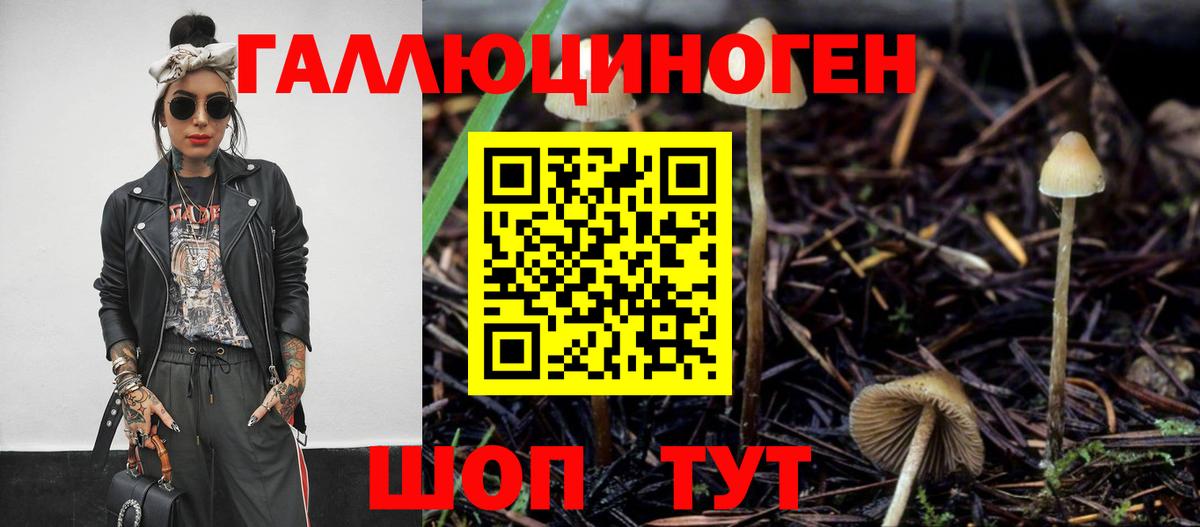 Псилоцибиновые грибы мицелий  наркотики  Североуральск  Вход с VPN 